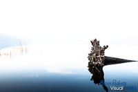 Landschaft 003