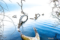 Landschaft 005